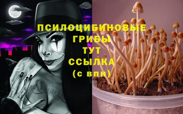 соль ск Нея