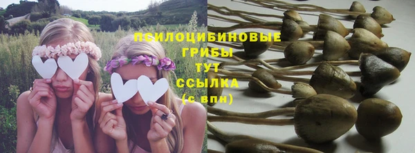 синтетический гашиш Нефтекумск