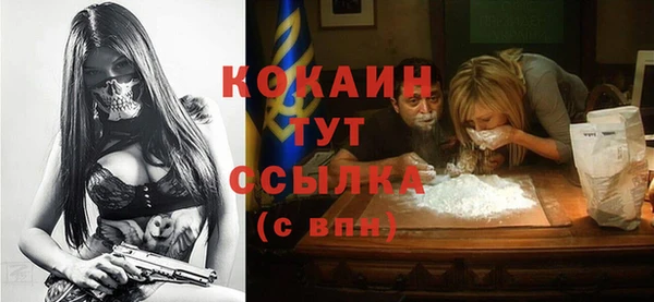 соль ск Нея